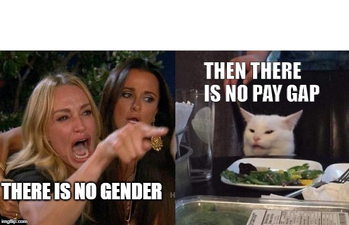 Woman Yelling At Cat Meme | THEN THERE IS NO PAY GAP; THERE IS NO GENDER | image tagged in memes,woman yelling at cat | made w/ Imgflip meme maker