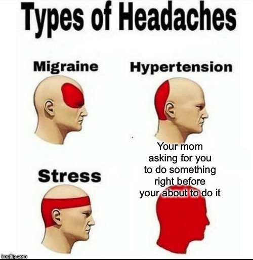 Types of Headaches meme | Your mom asking for you to do something right before your about to do it | image tagged in types of headaches meme | made w/ Imgflip meme maker