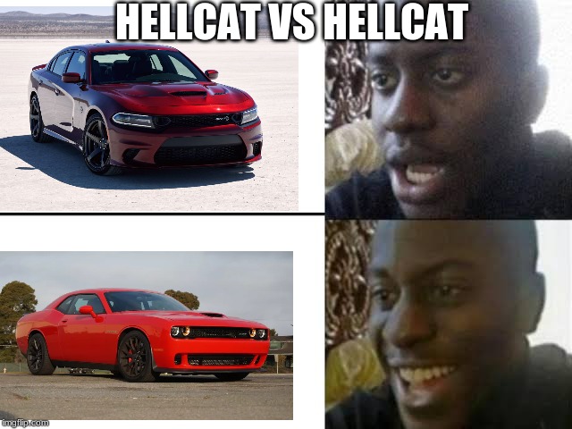 Disappointed Guy | HELLCAT VS HELLCAT | image tagged in disappointed guy,cats | made w/ Imgflip meme maker