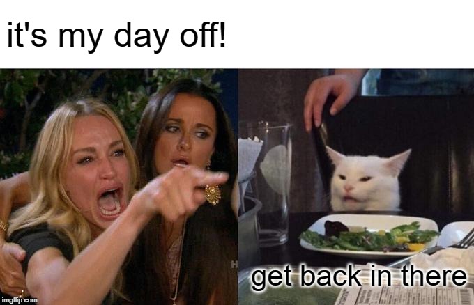 Woman Yelling At Cat Meme | it's my day off! get back in there | image tagged in memes,woman yelling at cat | made w/ Imgflip meme maker