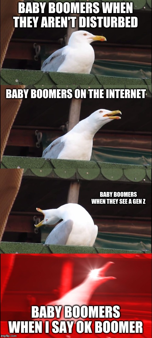 Inhaling Seagull Meme | BABY BOOMERS WHEN THEY AREN'T DISTURBED; BABY BOOMERS ON THE INTERNET; BABY BOOMERS WHEN THEY SEE A GEN Z; BABY BOOMERS WHEN I SAY OK BOOMER | image tagged in memes,inhaling seagull | made w/ Imgflip meme maker