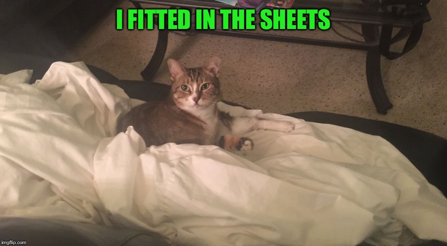 Clean sheets | I FITTED IN THE SHEETS | image tagged in clean sheets | made w/ Imgflip meme maker