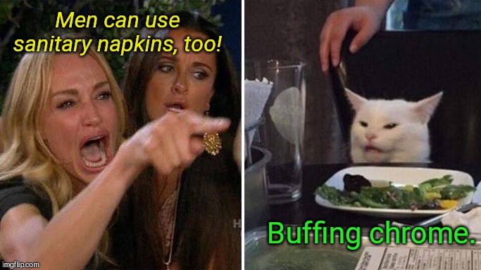 Angry lady cat | Men can use sanitary napkins, too! Buffing chrome. | image tagged in angry lady cat,humor,culture wars | made w/ Imgflip meme maker