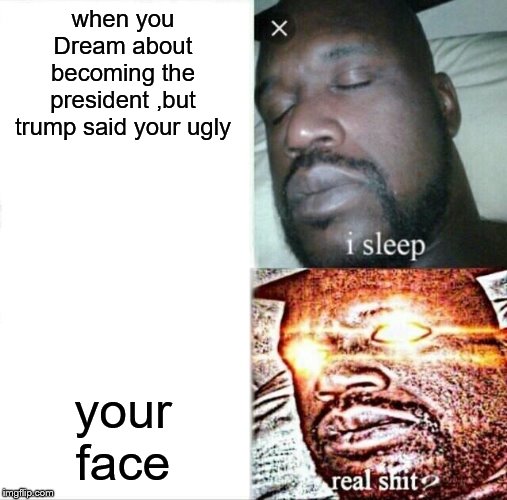 Sleeping Shaq | when you Dream about becoming the president ,but trump said your ugly; your face | image tagged in memes,sleeping shaq | made w/ Imgflip meme maker