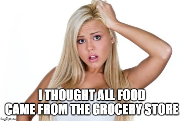 Dumb Blonde | I THOUGHT ALL FOOD CAME FROM THE GROCERY STORE | image tagged in dumb blonde | made w/ Imgflip meme maker