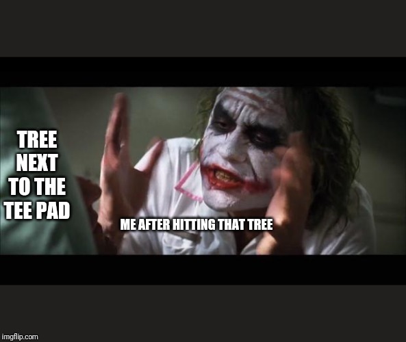 And everybody loses their minds | TREE NEXT TO THE TEE PAD; ME AFTER HITTING THAT TREE | image tagged in memes,and everybody loses their minds | made w/ Imgflip meme maker