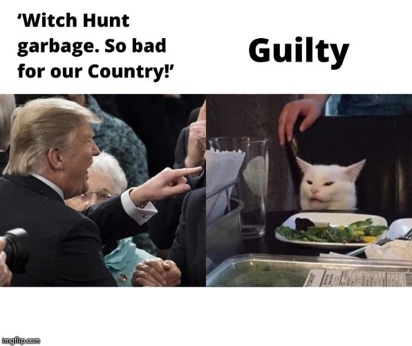 witch hunt | image tagged in woman yelling at cat | made w/ Imgflip meme maker