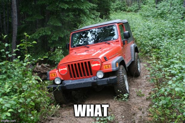 Jeep Wrangler TJ | WHAT | image tagged in jeep wrangler tj | made w/ Imgflip meme maker