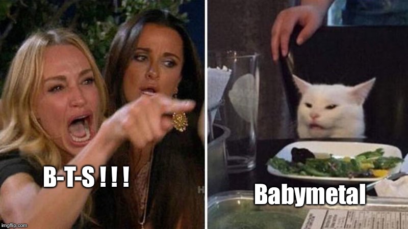 Woman argues with cat | Babymetal; B-T-S ! ! ! | image tagged in woman argues with cat | made w/ Imgflip meme maker
