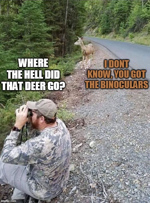 PUT THE BINOCULARS DOWN | I DONT KNOW, YOU GOT THE BINOCULARS; WHERE THE HELL DID THAT DEER GO? | image tagged in hunting,hunter,deer | made w/ Imgflip meme maker