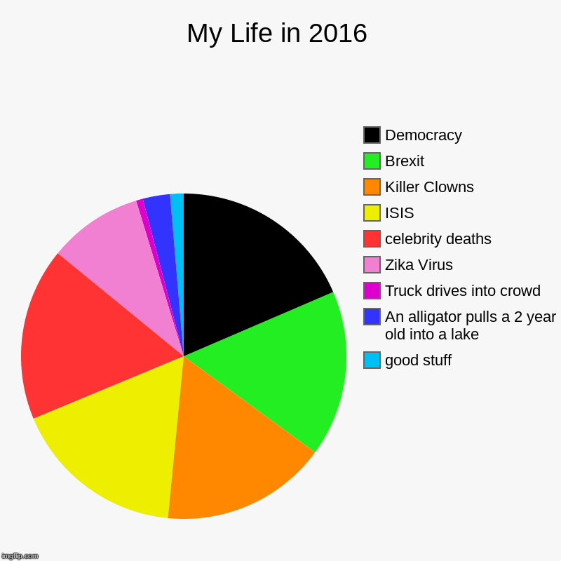 2016 was awful for me. Still to this day i hated this year. | My Life in 2016 | good stuff, An alligator pulls a 2 year old into a lake, Truck drives into crowd, Zika Virus, celebrity deaths, ISIS, Kill | image tagged in charts,pie charts,2016 | made w/ Imgflip chart maker