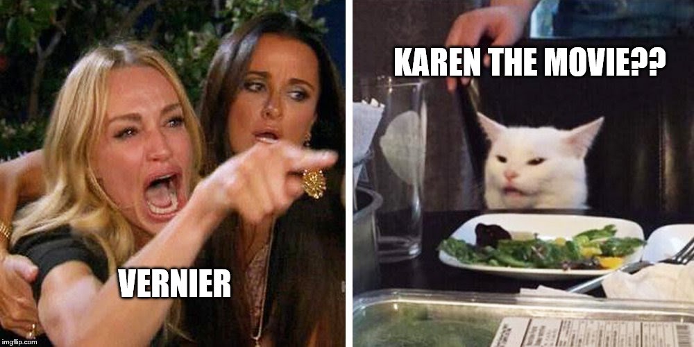 Smudge the cat | KAREN THE MOVIE?? VERNIER | image tagged in smudge the cat | made w/ Imgflip meme maker