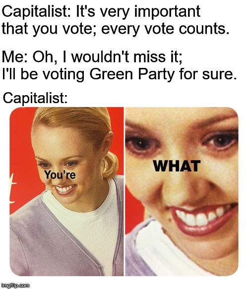you're what | Capitalist: It's very important that you vote; every vote counts. Me: Oh, I wouldn't miss it; I'll be voting Green Party for sure. Capitalist: | image tagged in you're what,capitalism,green party | made w/ Imgflip meme maker