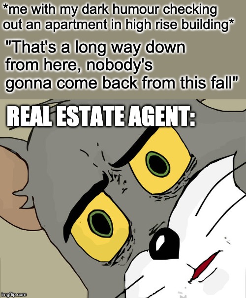 Unsettled Tom Meme | *me with my dark humour checking 
out an apartment in high rise building*; "That's a long way down from here, nobody's gonna come back from this fall"; REAL ESTATE AGENT: | image tagged in memes,unsettled tom | made w/ Imgflip meme maker