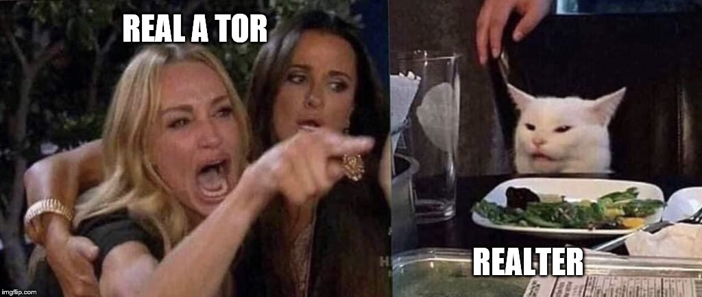 woman yelling at cat | REAL A TOR; REALTER | image tagged in woman yelling at cat | made w/ Imgflip meme maker