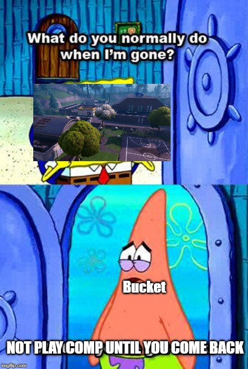 What do you normally do when I'm gone? | Bucket; NOT PLAY COMP UNTIL YOU COME BACK | image tagged in what do you normally do when i'm gone | made w/ Imgflip meme maker