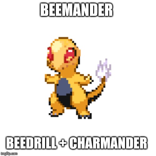 BEEMANDER; BEEDRILL + CHARMANDER | made w/ Imgflip meme maker