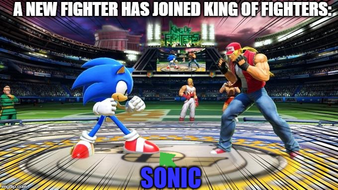 Sonic vs. Terry | A NEW FIGHTER HAS JOINED KING OF FIGHTERS:; SONIC | image tagged in sonic vs terry | made w/ Imgflip meme maker
