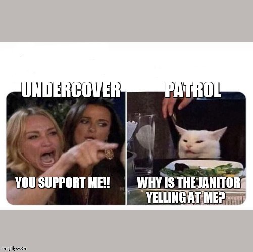 Woman shouting at cat | UNDERCOVER             PATROL; YOU SUPPORT ME!!            WHY IS THE JANITOR 
                                                     YELLING AT ME? | image tagged in woman shouting at cat | made w/ Imgflip meme maker