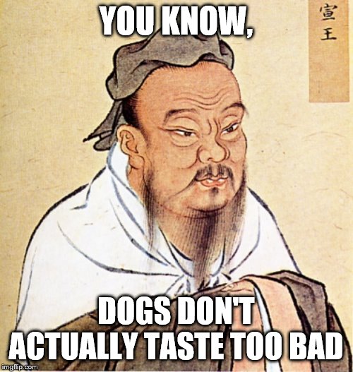 Confucius Says | YOU KNOW, DOGS DON'T ACTUALLY TASTE TOO BAD | image tagged in confucius says | made w/ Imgflip meme maker