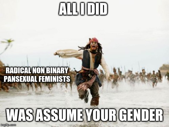 Jack Sparrow Being Chased | ALL I DID; RADICAL NON BINARY PANSEXUAL FEMINISTS; WAS ASSUME YOUR GENDER | image tagged in memes,jack sparrow being chased | made w/ Imgflip meme maker