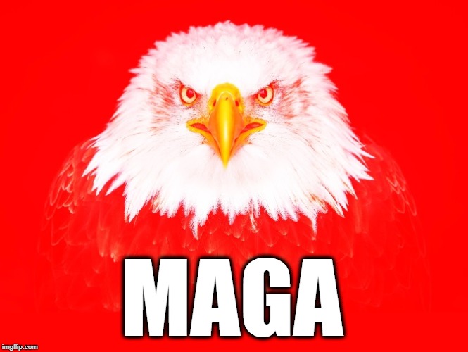 Do it! | MAGA | image tagged in make america great again,maga,trump | made w/ Imgflip meme maker