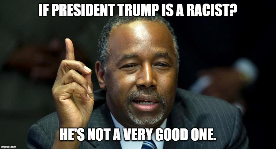 The one thing Trump is not the best at. | IF PRESIDENT TRUMP IS A RACIST? HE'S NOT A VERY GOOD ONE. | image tagged in ben carson,racism,false narrative | made w/ Imgflip meme maker