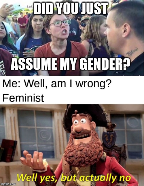 DID YOU JUST; ASSUME MY GENDER? | image tagged in did you just assume my gender | made w/ Imgflip meme maker
