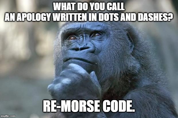 that is the question | WHAT DO YOU CALL AN APOLOGY WRITTEN IN DOTS AND DASHES? RE-MORSE CODE. | image tagged in that is the question | made w/ Imgflip meme maker