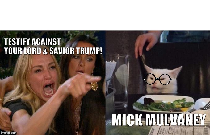 Woman Yelling At Cat Meme | TESTIFY AGAINST YOUR LORD & SAVIOR TRUMP! MICK MULVANEY | image tagged in memes,woman yelling at cat | made w/ Imgflip meme maker