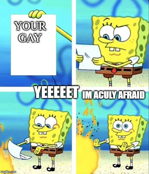 spongebob your gay meme