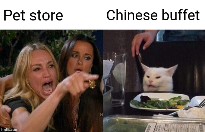 Woman Yelling At Cat Meme | Pet store; Chinese buffet | image tagged in memes,woman yelling at cat | made w/ Imgflip meme maker