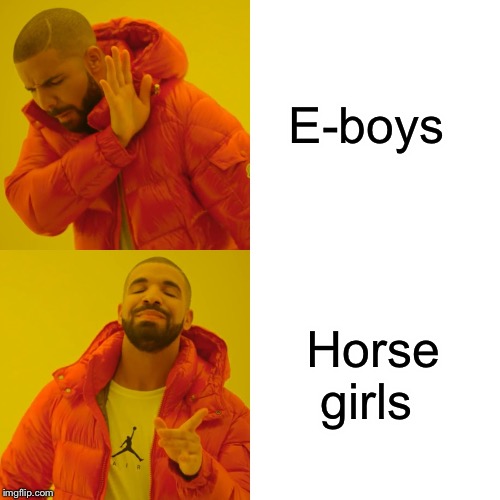 E-boys Horse girls | image tagged in memes,drake hotline bling | made w/ Imgflip meme maker