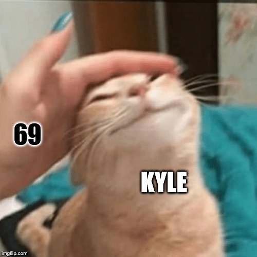 Pet the cat | KYLE 69 | image tagged in pet the cat | made w/ Imgflip meme maker