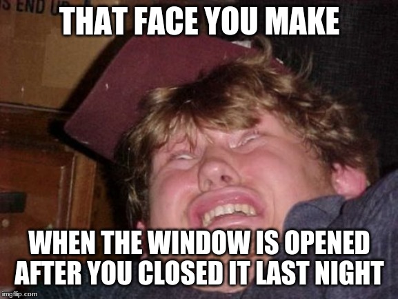 WTF | THAT FACE YOU MAKE; WHEN THE WINDOW IS OPENED AFTER YOU CLOSED IT LAST NIGHT | image tagged in memes,wtf | made w/ Imgflip meme maker