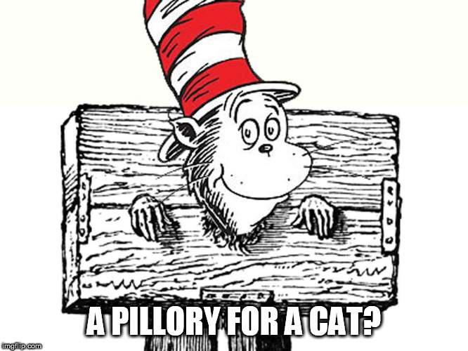A PILLORY FOR A CAT? | made w/ Imgflip meme maker