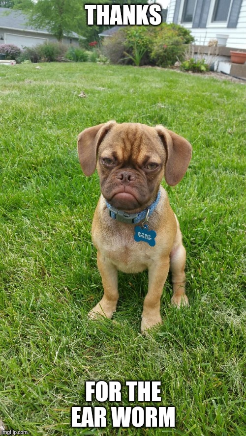 Earl The Grumpy Dog | THANKS FOR THE EAR WORM | image tagged in earl the grumpy dog | made w/ Imgflip meme maker