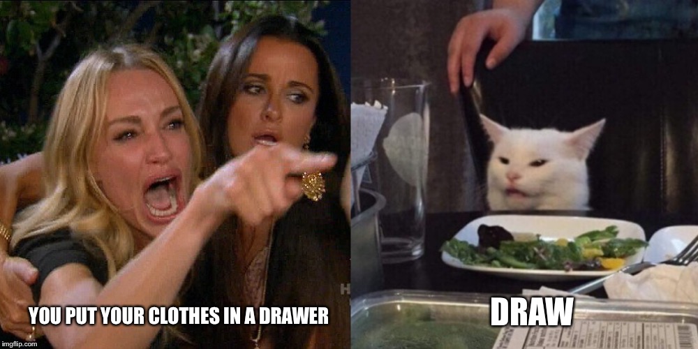 Woman yelling at cat | DRAW; YOU PUT YOUR CLOTHES IN A DRAWER | image tagged in woman yelling at cat | made w/ Imgflip meme maker