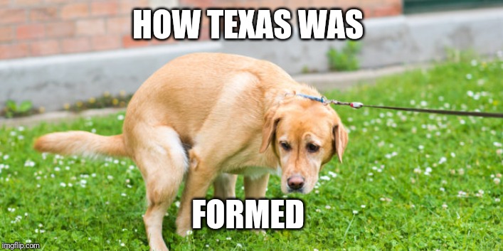 How Texas was formed | HOW TEXAS WAS; FORMED | image tagged in memes,comedy | made w/ Imgflip meme maker