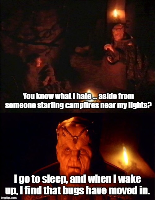 Never sleep in scifi | You know what I hate ... aside from someone starting campfires near my lights? I go to sleep, and when I wake up, I find that bugs have moved in. | image tagged in babylon 5,campfire | made w/ Imgflip meme maker