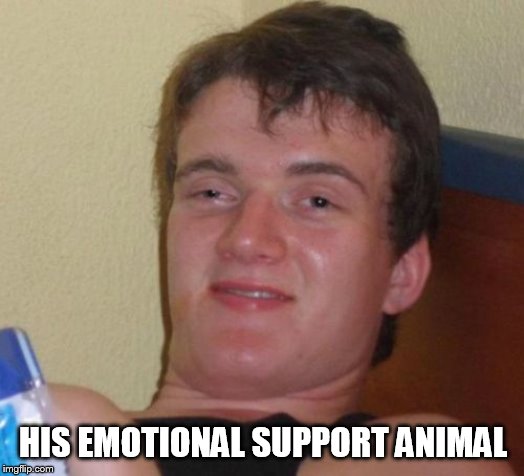 10 Guy Meme | HIS EMOTIONAL SUPPORT ANIMAL | image tagged in memes,10 guy | made w/ Imgflip meme maker