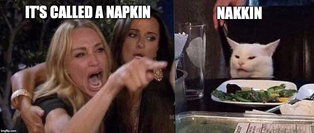 woman yelling at cat | NAKKIN; IT'S CALLED A NAPKIN | image tagged in woman yelling at cat | made w/ Imgflip meme maker