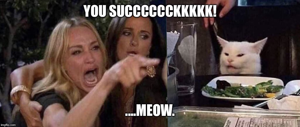 woman yelling at cat | YOU SUCCCCCCKKKKK! ....MEOW. | image tagged in woman yelling at cat | made w/ Imgflip meme maker