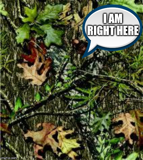 Camo | I AM RIGHT HERE | image tagged in camo | made w/ Imgflip meme maker