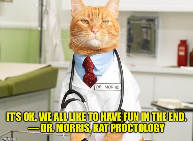 Cat Doctor | IT’S OK. WE ALL LIKE TO HAVE FUN IN THE END.

— DR. MORRIS, KAT PROCTOLOGY | image tagged in cat doctor | made w/ Imgflip meme maker
