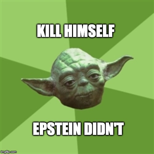 Advice Yoda | KILL HIMSELF; EPSTEIN DIDN'T | image tagged in memes,advice yoda | made w/ Imgflip meme maker