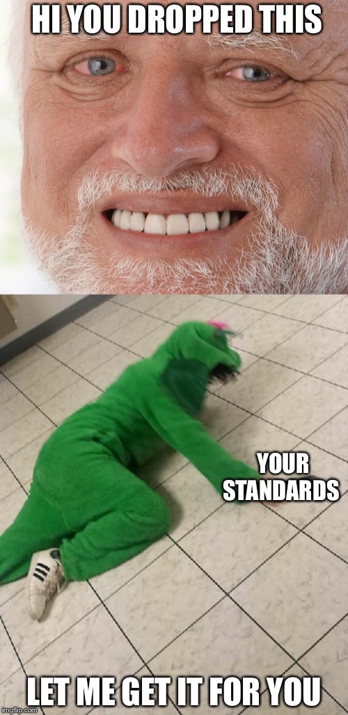 HI YOU DROPPED THIS; YOUR STANDARDS; LET ME GET IT FOR YOU | image tagged in hide the pain harold | made w/ Imgflip meme maker