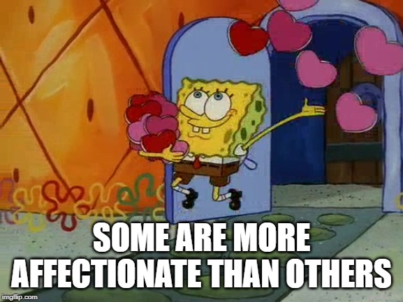 love and affection1 | SOME ARE MORE AFFECTIONATE THAN OTHERS | image tagged in love and affection1 | made w/ Imgflip meme maker