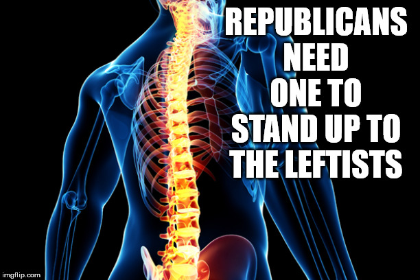 Too many wimps in Government. | REPUBLICANS NEED ONE TO STAND UP TO THE LEFTISTS | image tagged in spine,republicans | made w/ Imgflip meme maker