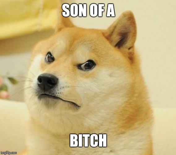 Mad doge | SON OF A B**CH | image tagged in mad doge | made w/ Imgflip meme maker